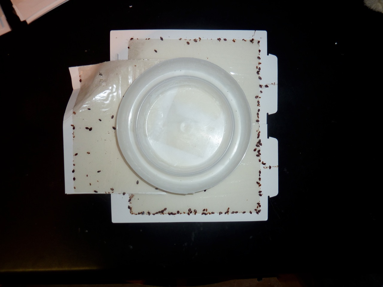 co2-traps-do-they-work
